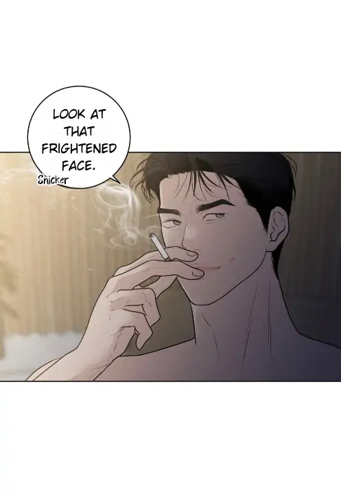 34167637 497 720 13200